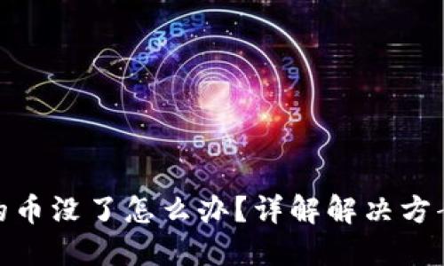 小狐狸钱包的币没了怎么办？详解解决方案与防范措施