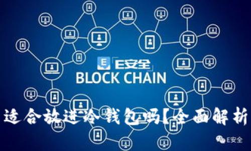 狗狗币适合放进冷钱包吗？全面解析与建议