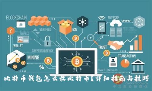 比特币钱包怎么收比特币？详细指南与技巧