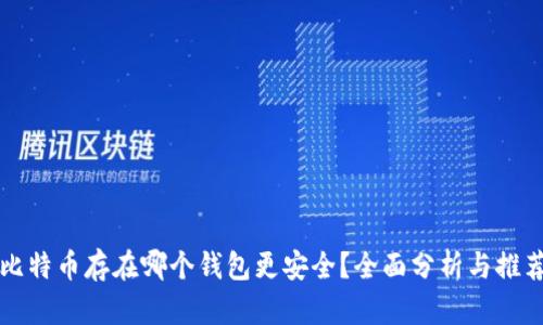 比特币存在哪个钱包更安全?全面分析与推荐