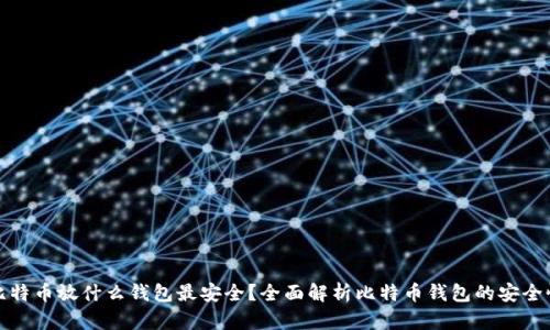 比特币放什么钱包最安全？全面解析比特币钱包的安全性