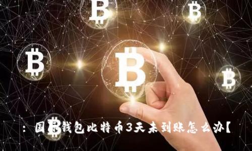 : 国际钱包比特币3天未到账怎么办？