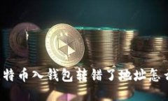 充比特币入钱包转错了地