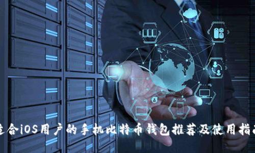 适合iOS用户的手机比特币钱包推荐及使用指南