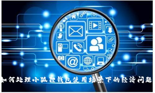 如何处理小狐狸钱包使用场景下的经济问题?