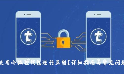 如何使用小狐狸钱包进行互转?详细指南与常见问题解答