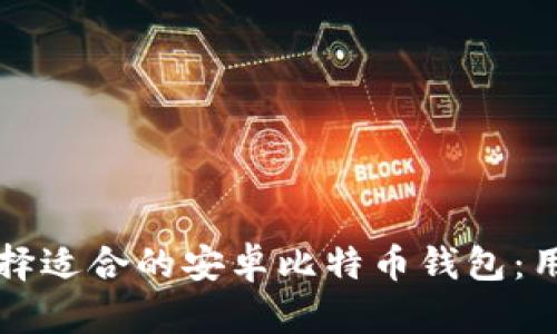 如何选择适合的安卓比特币钱包:用户指南