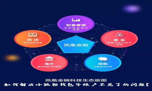 如何解决小狐狸钱包子账户不见了的问题?
