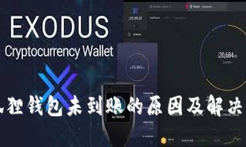 小狐狸钱包未到账的原因及解决办法