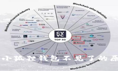 如何将Core币提进小狐狸钱包不见了的原因分析与解决方案