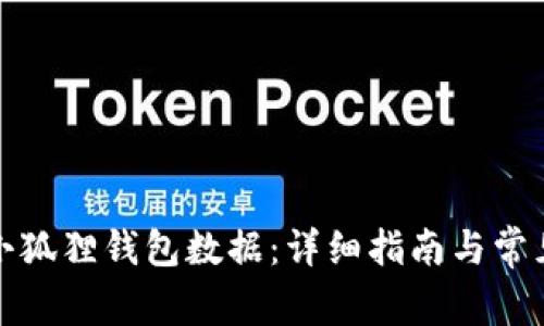 如何导入小狐狸钱包数据：详细指南与常见问题解答