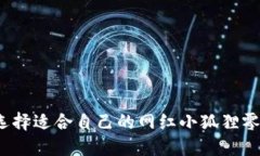 如何选择适合自己的网红