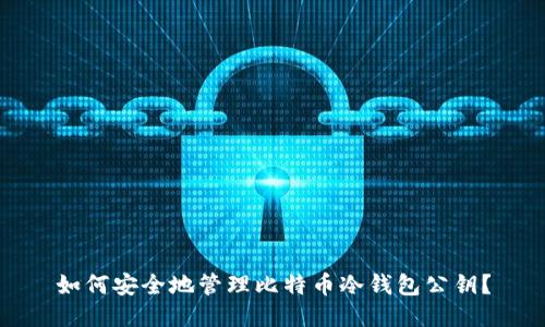 如何安全地管理比特币冷钱包公钥？