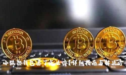 : 小狐狸钱包丢了怎么办？详细指南与解决方案