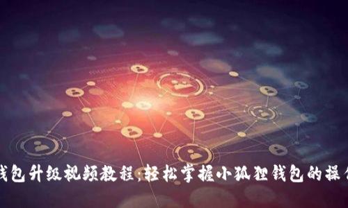 小狐狸钱包升级视频教程:轻松掌握小狐狸钱包的操作与功能