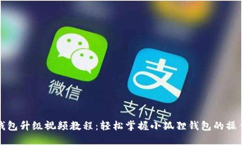 小狐狸钱包升级视频教程:轻松掌握小狐狸钱包的操作与功能