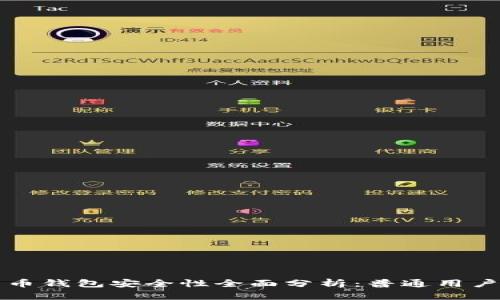 比特币钱包安全性全面分析:普通用户必读