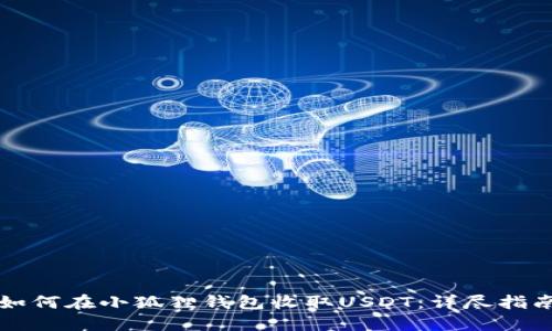 如何在小狐狸钱包收取USDT：详尽指南