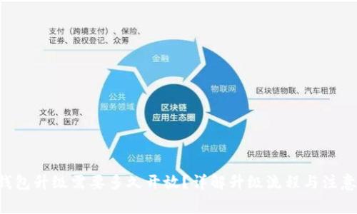xlm钱包升级需要多久开放?详解升级流程与注意事项