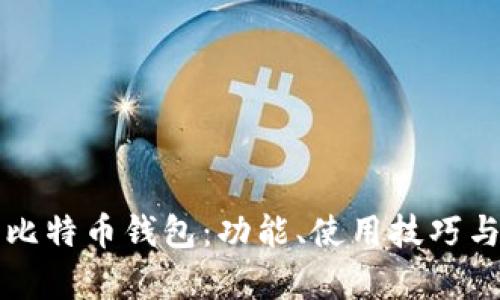 详解李威声比特币钱包：功能、使用技巧与安全性分析