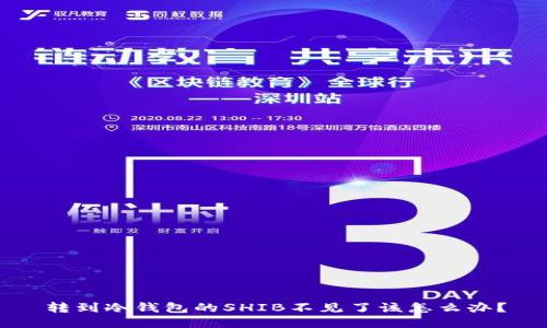 转到冷钱包的SHIB不见了该怎么办?