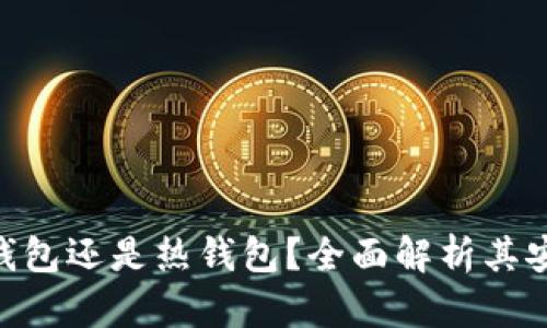 MetaMask是冷钱包还是热钱包?全面解析其安全性与使用场景
