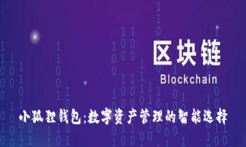 小狐狸钱包:数字资产管理的智能选择