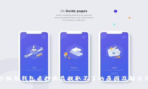 : 小狐狸钱包质押收益提取不了的原因及解决方法