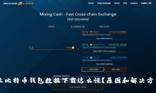 为什么比特币钱包数据下载这么慢？原因和解决方法分析