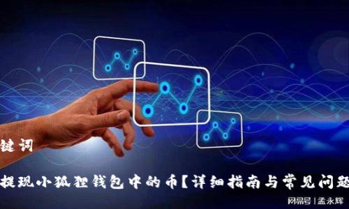 与关键词
如何提现小狐狸钱包中的币?详细指南与常见问题解析