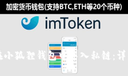 如何在小狐狸钱包中导入私链：详细指南