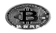 如何查看小狐狸钱包的授