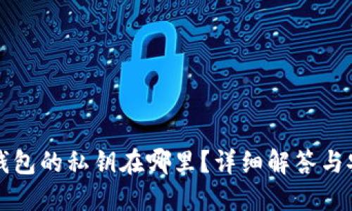 小狐狸钱包的私钥在哪里？详细解答与安全指南