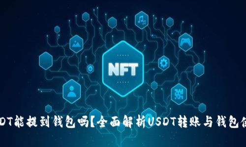 USDT能提到钱包吗？全面解析USDT转账与钱包使用