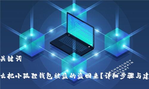 和关键词

怎么把小狐狸钱包被盗的盗回来？详细步骤与建议