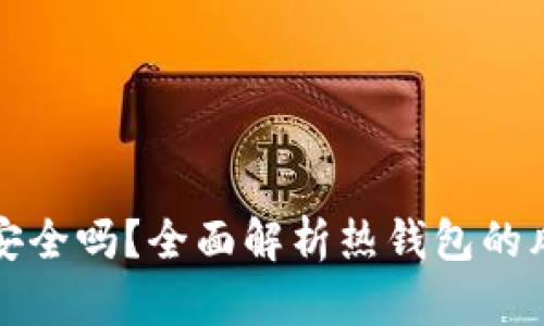 比特币热钱包安全吗？全面解析热钱包的风险与安全防护