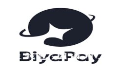 小狐狸区块链钱包：国内