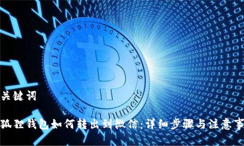 和关键词

小狐狸钱包如何转出到微信：详细步骤与注意事项