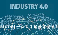 小狐狸钱包支持USDT吗？一