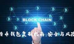 : 比特币钱包复制指南：安