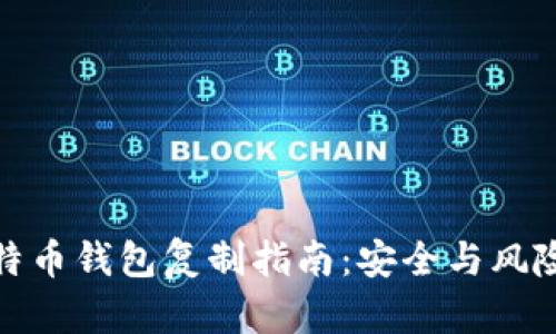 : 比特币钱包复制指南：安全与风险分析
