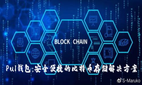 Pul钱包：安全便捷的比特币存储解决方案