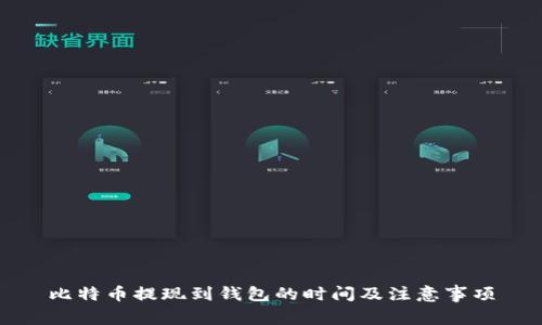 比特币提现到钱包的时间及注意事项