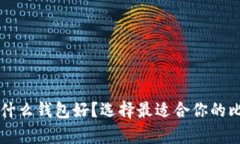 比特币存放在什么钱包好