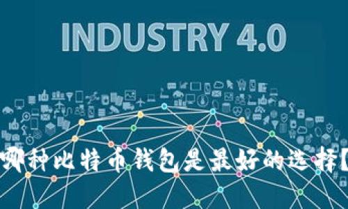 哪种比特币钱包是最好的选择？