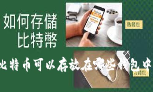 比特币可以存放在哪些钱包中？