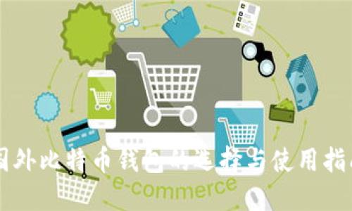 国外比特币钱包的选择与使用指南