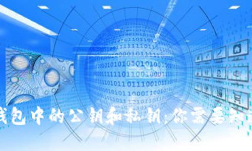 小狐狸钱包中的公钥和私钥：你需要知道的一切