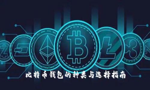 比特币钱包的种类与选择指南