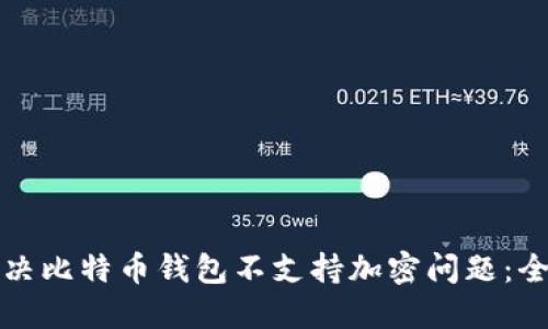 如何解决比特币钱包不支持加密问题：全面指南